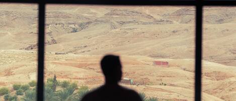 A silhouette of a person looking out of a window at a desert landscape.