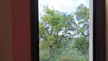 Tina y papel de baño