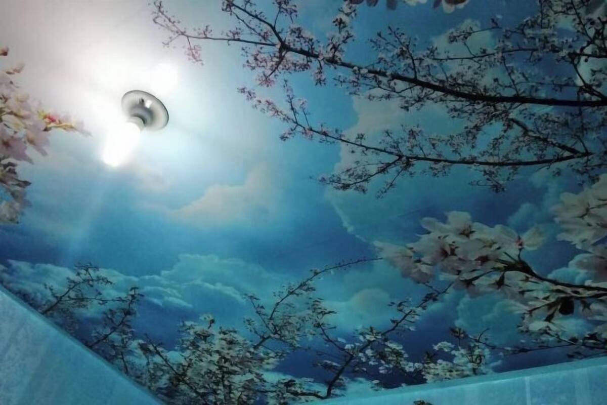A room with a painted ceiling depicting a sky with clouds and cherry blossoms.