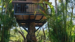A treehouse with a wooden deck and railings, surrounded by lush greenery. - The Village Resort in the Painting, Bao Loc (Bao Lam District)