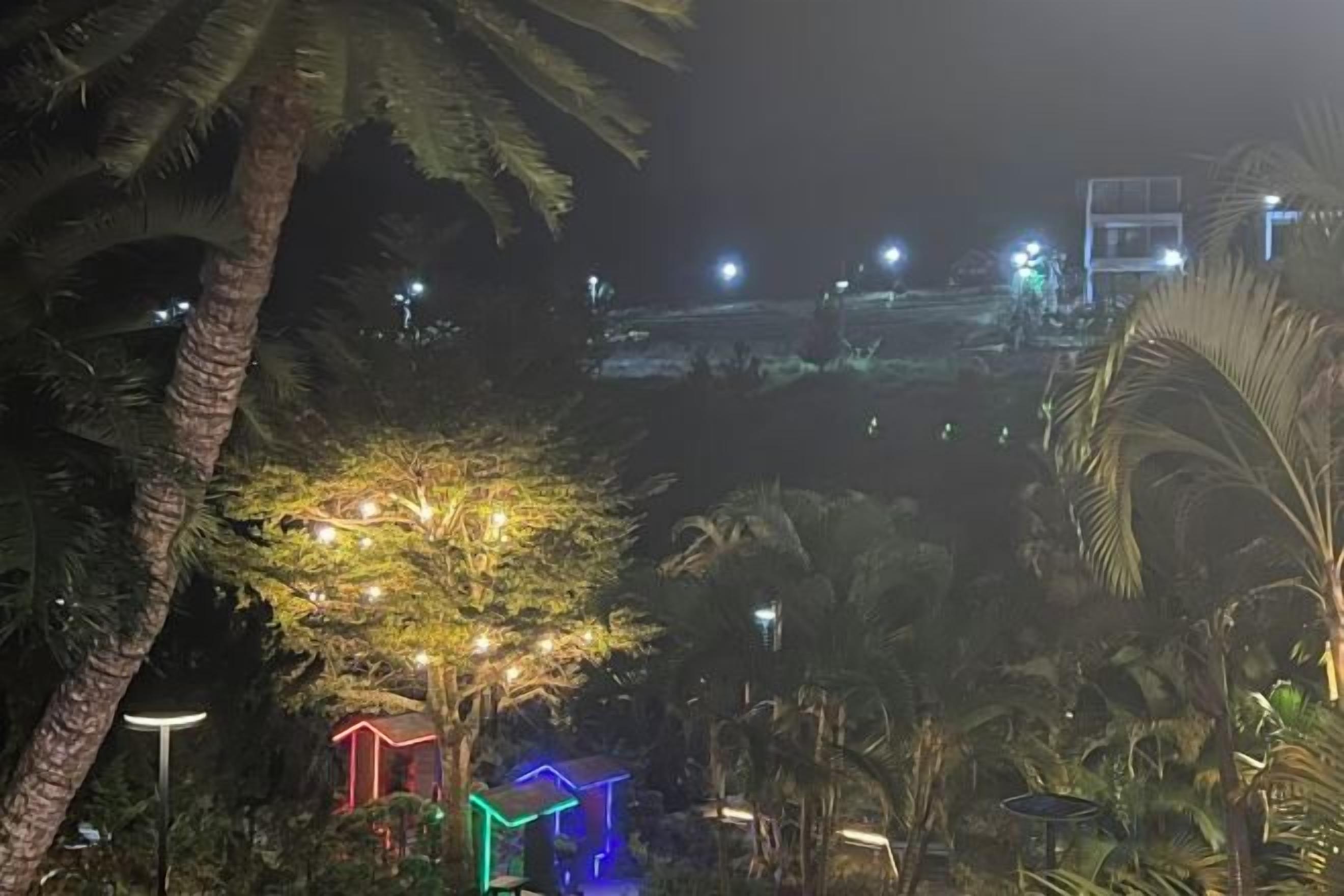 Vista noturna de um resort com palmeiras iluminadas e um edifício ao longe.