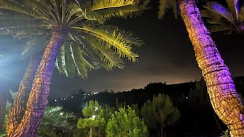 A night scene with illuminated palm trees and a dark sky.