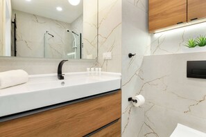Chuveiro, secador de cabelo, toalhas de banho, shampoo