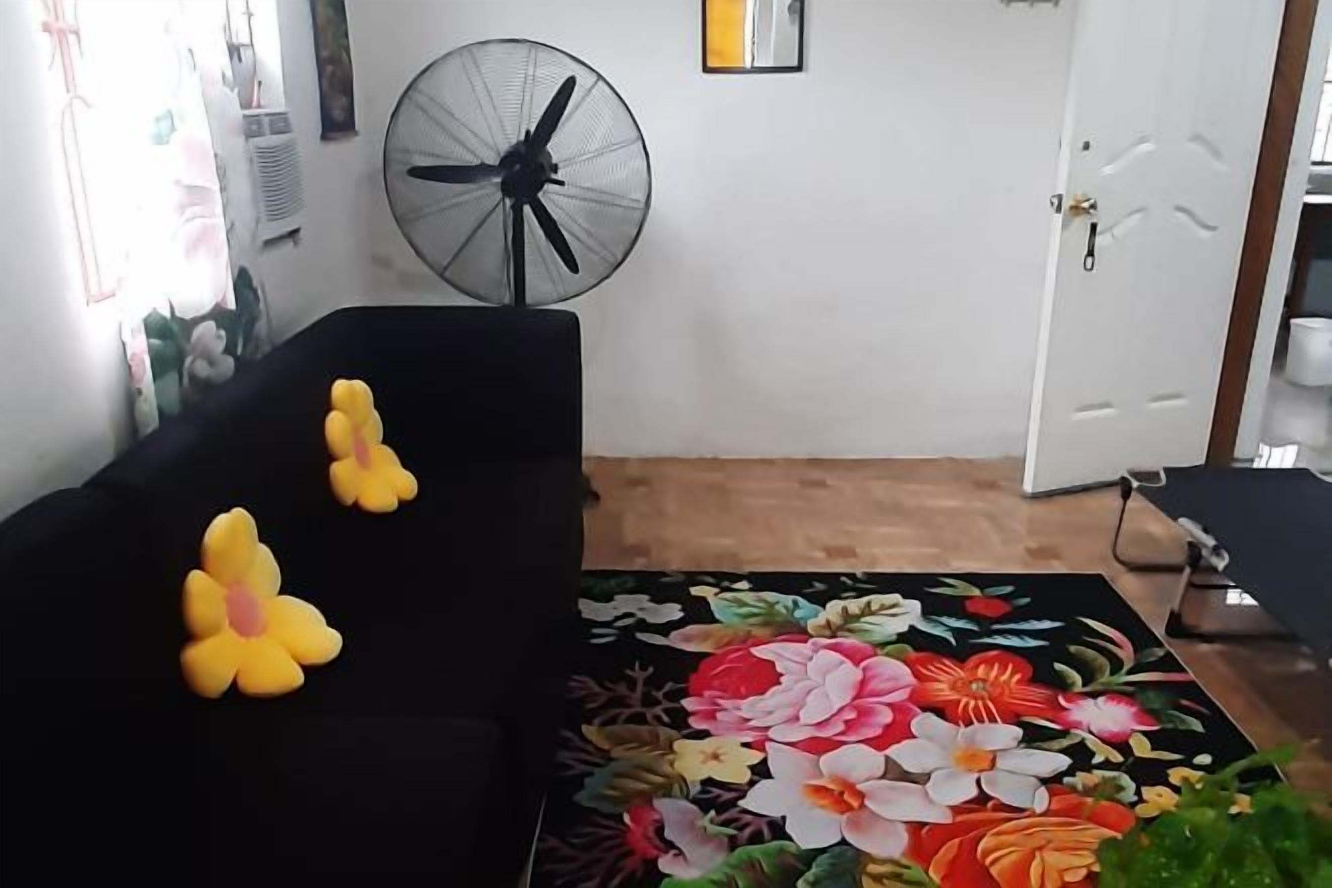 A room with a black sofa, a floral rug, a standing fan, and a door.