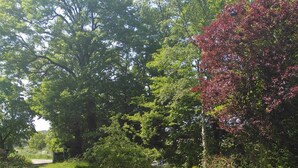 Un jardin avec un parterre de fleurs au premier plan et un chemin menant à une porte.