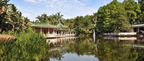 Área da propriedade