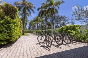 Un sendero pavimentado bordeado por bicicletas, palmeras y abundante vegetación.