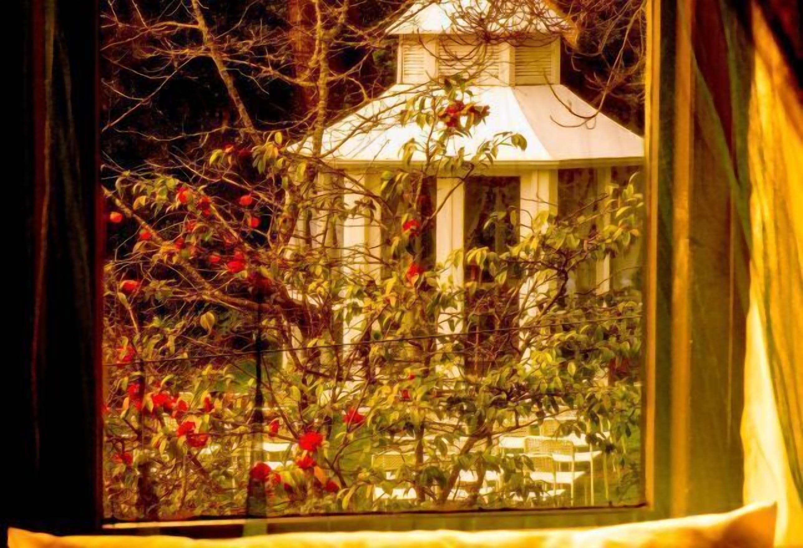 Uitzicht vanuit accommodatie