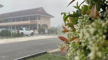 Àrea exterior de l'allotjament