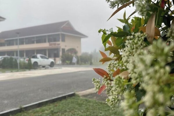 Property grounds - New Blessing Home (Nan)