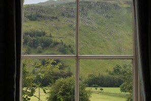 A window with a view of a green landscape, curtains, and a plant in the foreground. - Gardener's Cottage, Glen Lyon (Aberfeldy)