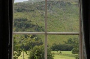 Una ventana con vistas a un paisaje verde, cortinas y una planta en primer plano.