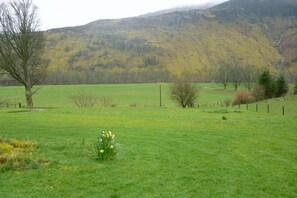 Property grounds - Gardener's Cottage, Glen Lyon (Aberfeldy)