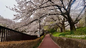 施設の敷地
