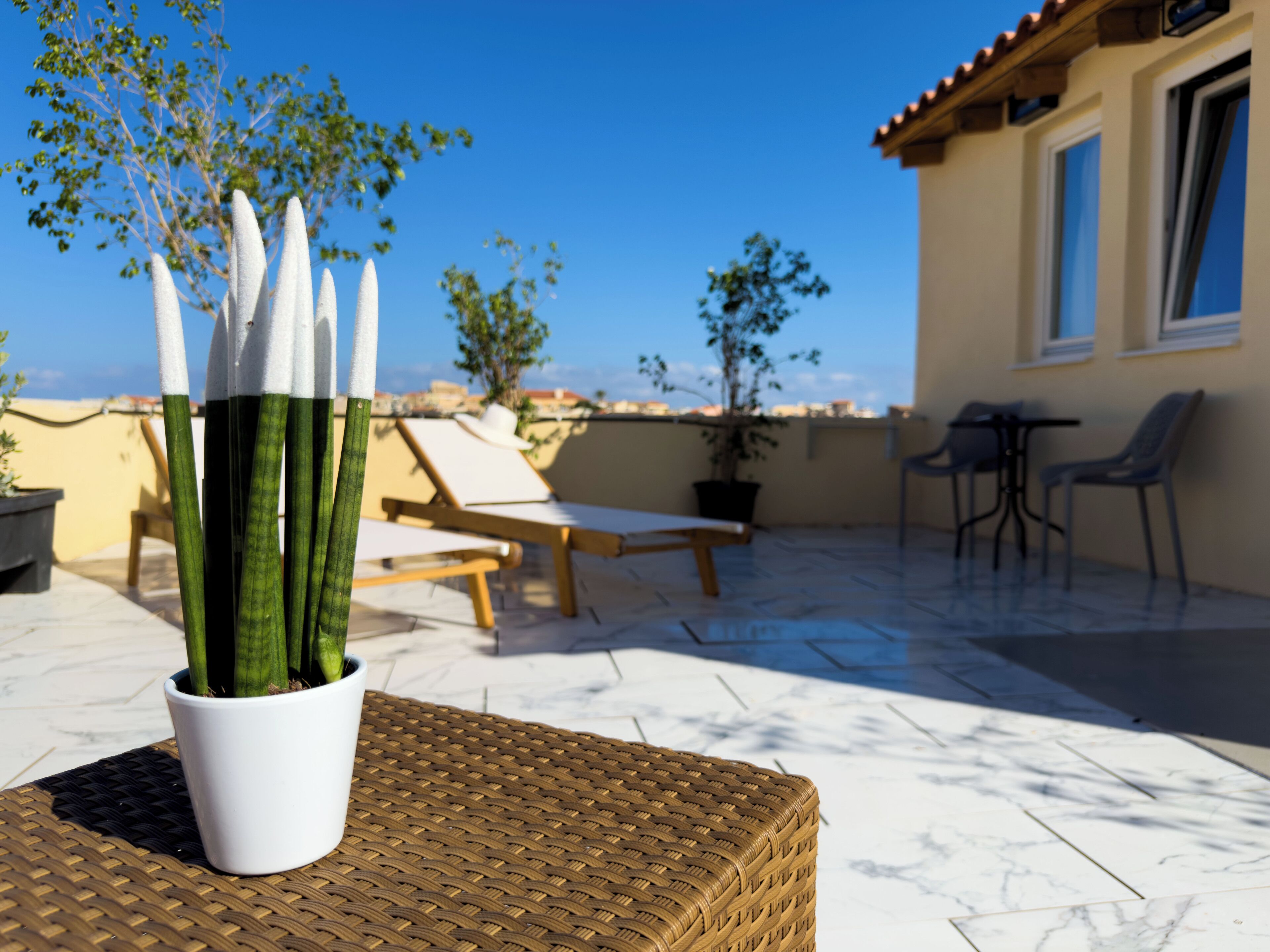 Una terraza en la azotea con una planta en maceta, sillones de descanso y vistas a la ciudad.