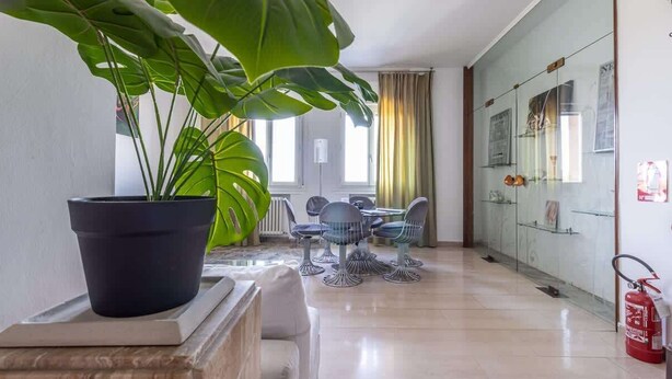 Une chambre d’hôtel moderne avec un coin repas, une grande plante en pot et un extincteur.