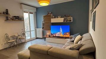 Fernseher, Arbeitsbereiche