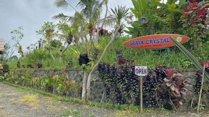 Property grounds - Jatiluwih Guava Eco Living Managed by Manara (Bali)