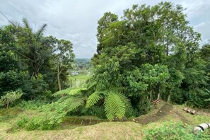 A lush green landscape with dense foliage and a distant view of a village. - Jatiluwih Guava Eco Living Managed by Manara (Bali)