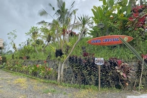 Une enseigne indiquant « Guava Crystal », avec une autre enseigne plus petite en dessous indiquant « OUVERT », le tout entouré de plantes tropicales et d’un mur de pierres.