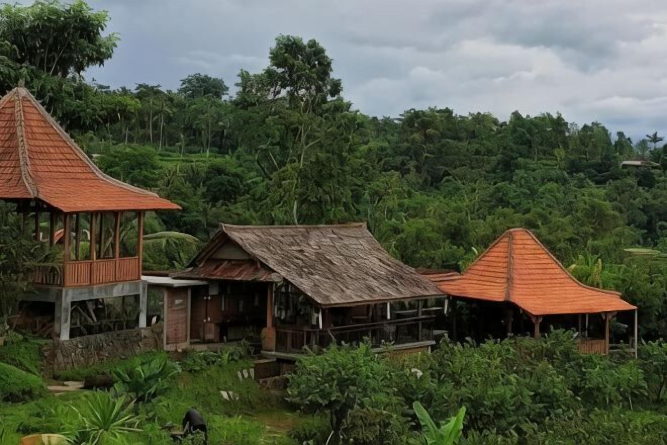 Ein traditionelles Holzhaus mit einem strohgedeckten Dach, umgeben von üppigem Grün und einer hügeligen Landschaft.