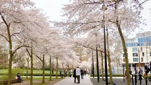 기타