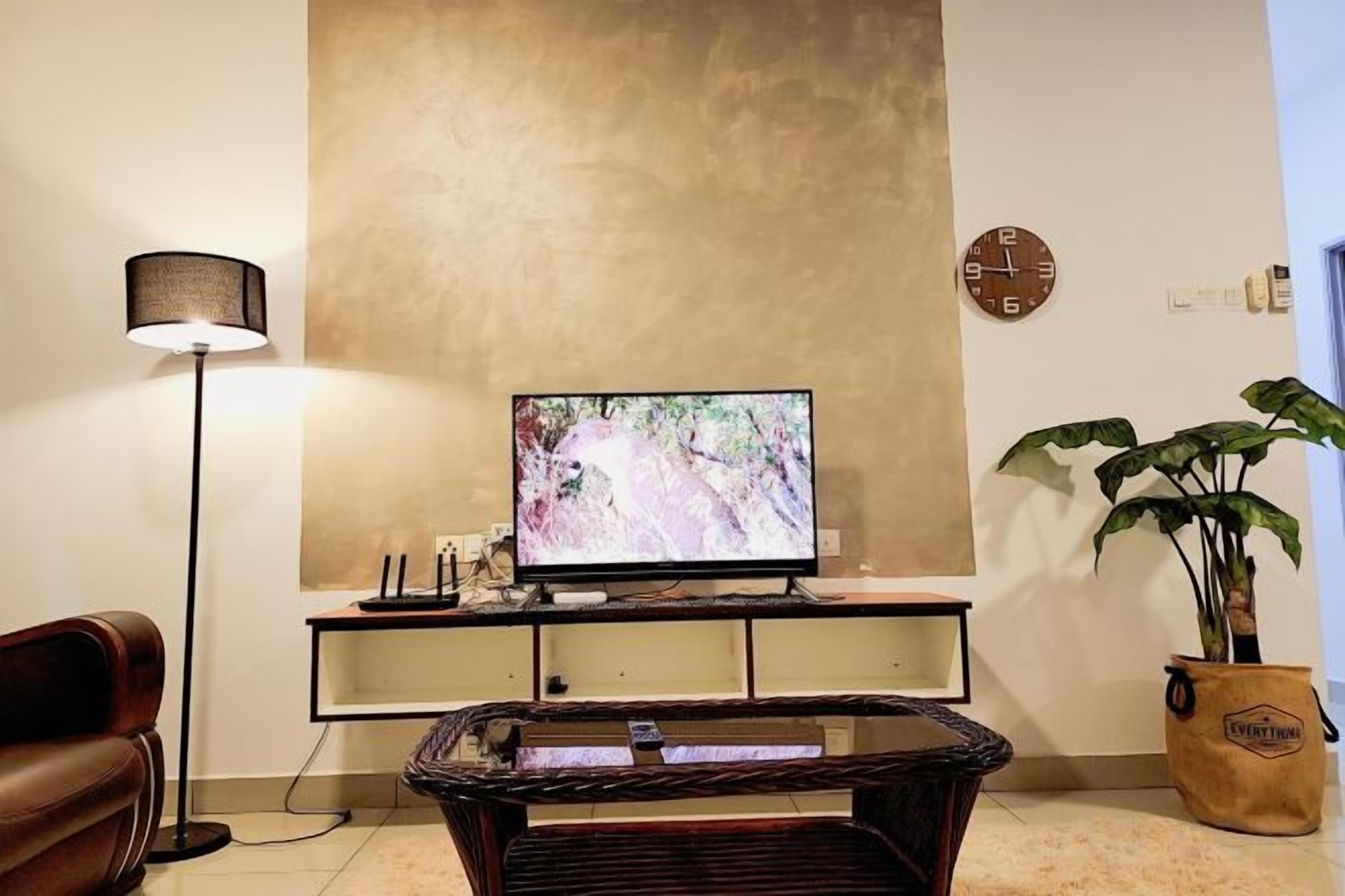Una sala de estar con televisor sobre un mueble bajo, lámpara de pie, planta en maceta y un sofá.