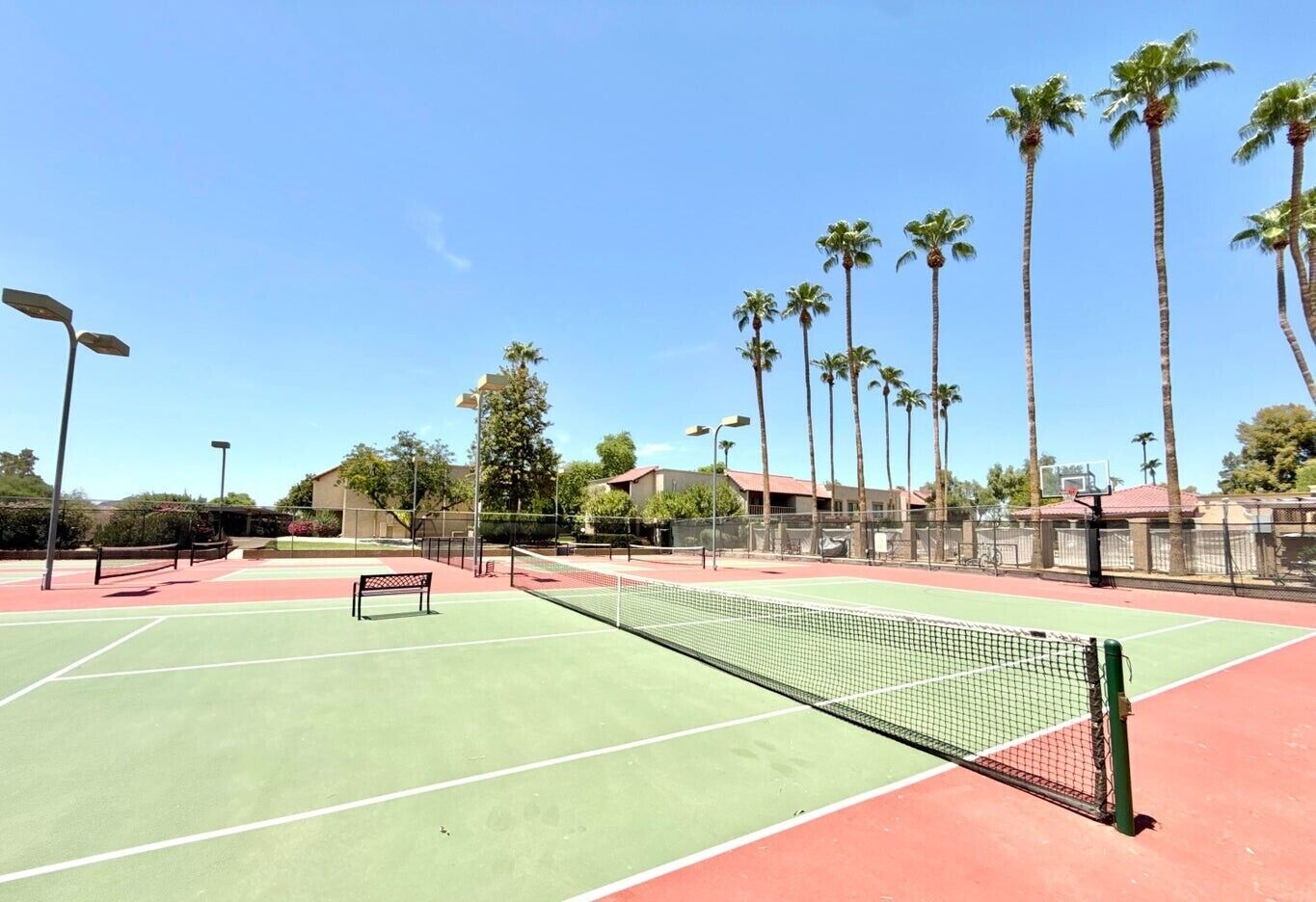 A tennis court with a net, benches, and palm trees in the background.