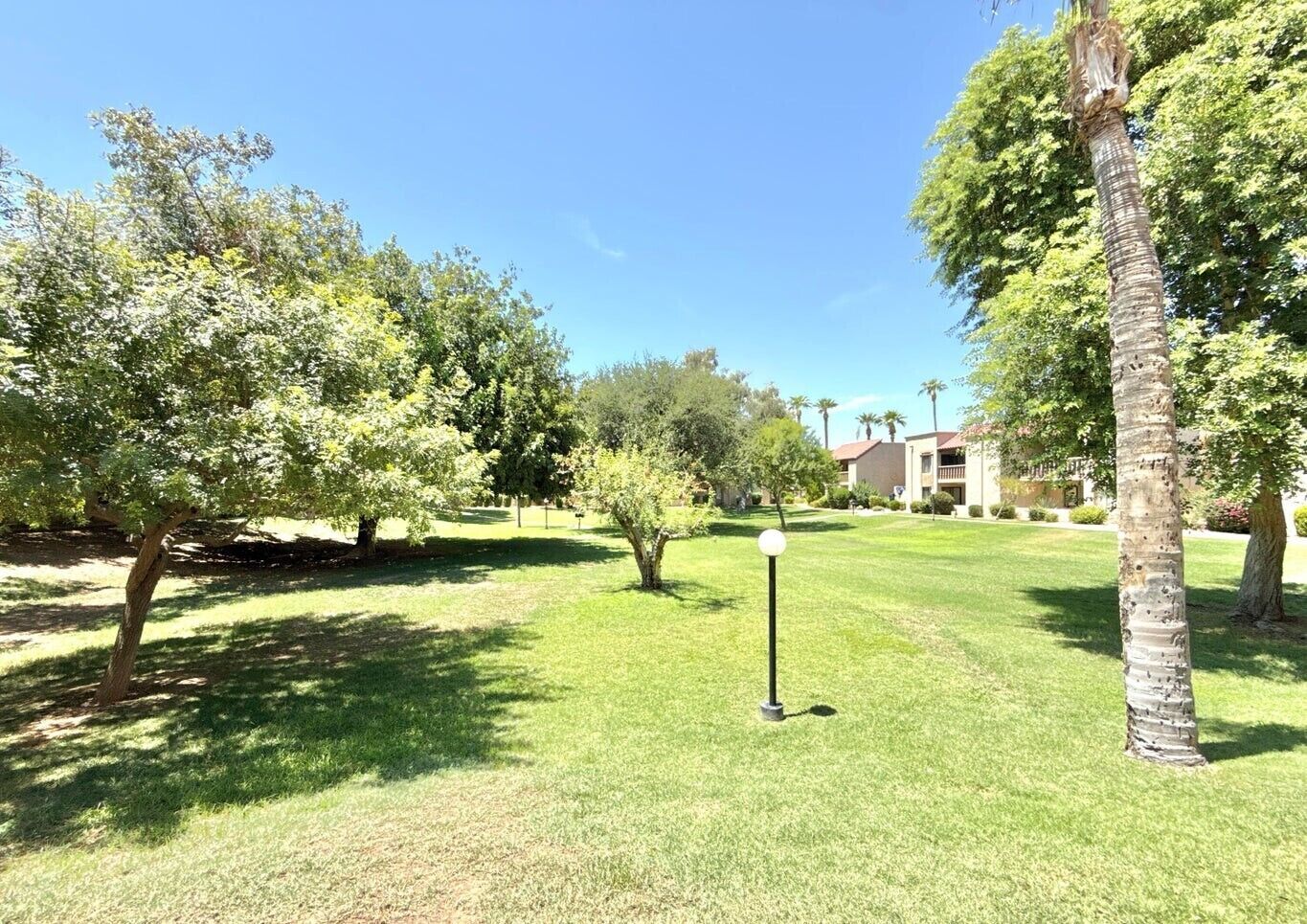 A well-maintained grassy area with trees and a lamp post, likely part of a resort or hotel property.