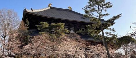 A traditional building with a sloped roof, surrounded by cherry blossom trees.