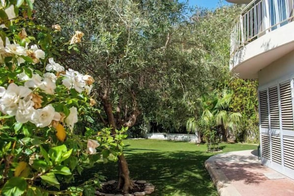 Property amenity