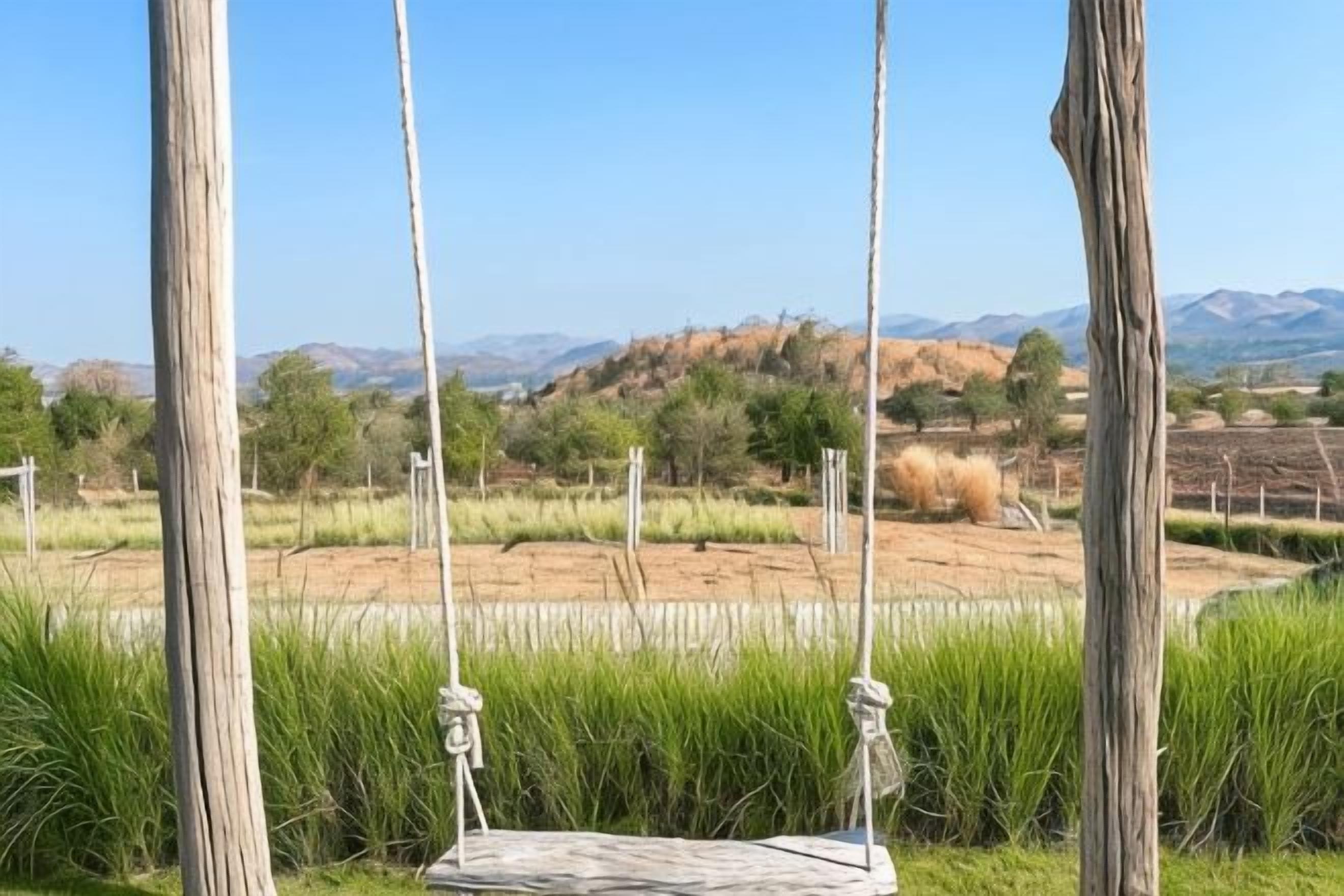 Columpio en un paisaje natural con montañas al fondo.