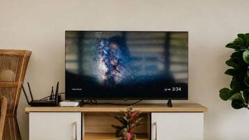 A flat-screen TV on a wooden stand with a plant in front.