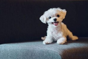 รูปภาพที่ไม่ได้จัดประเภท, 5 จาก 10, ปุ่ม