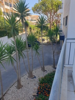 المنطقة المحيطة بالمنشأة