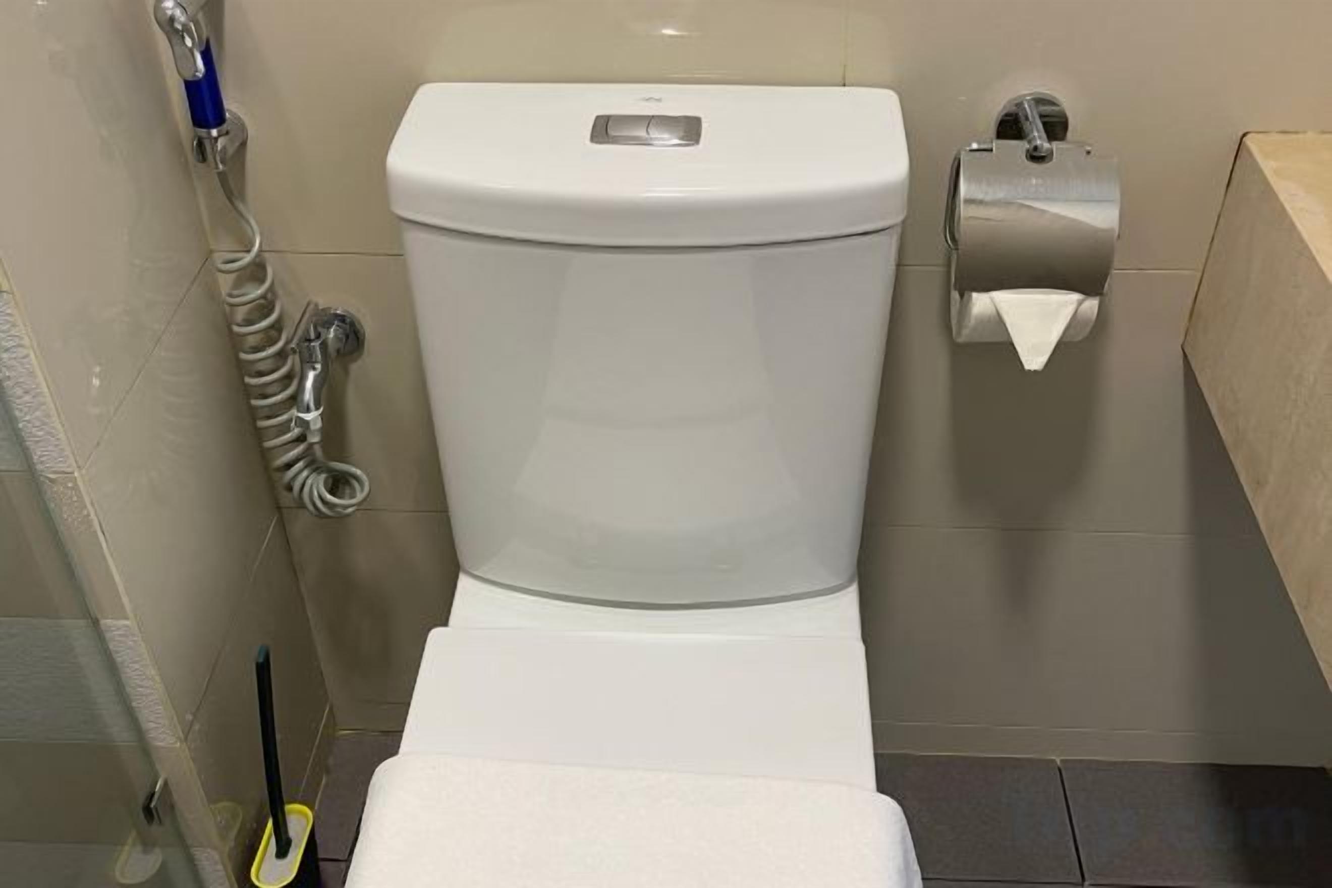 A standard toilet with a toilet paper holder to the right.
