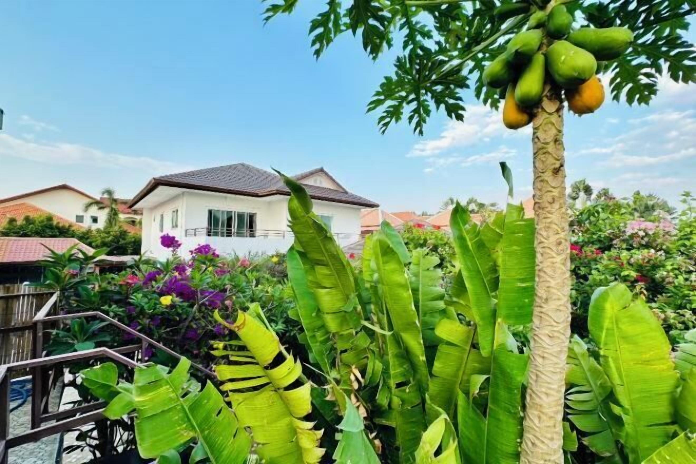 Khuôn viên nơi lưu trú