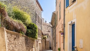 Une ruelle étroite pavée, bordée de bâtiments anciens en pierre, dotés de volets et agrémentée de plantes en pot.