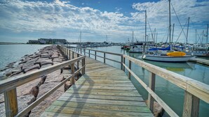 Unclassified image, 5 of 42, button - 2BDR Condo w/ Pool | Walk to Shore, Pet-Friendly (Port Aransas)
