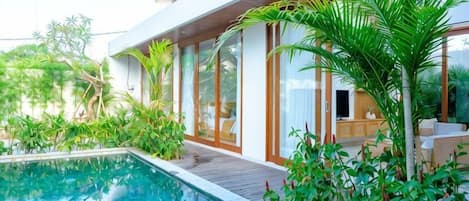 A modern house with a swimming pool, large windows, and lush greenery.