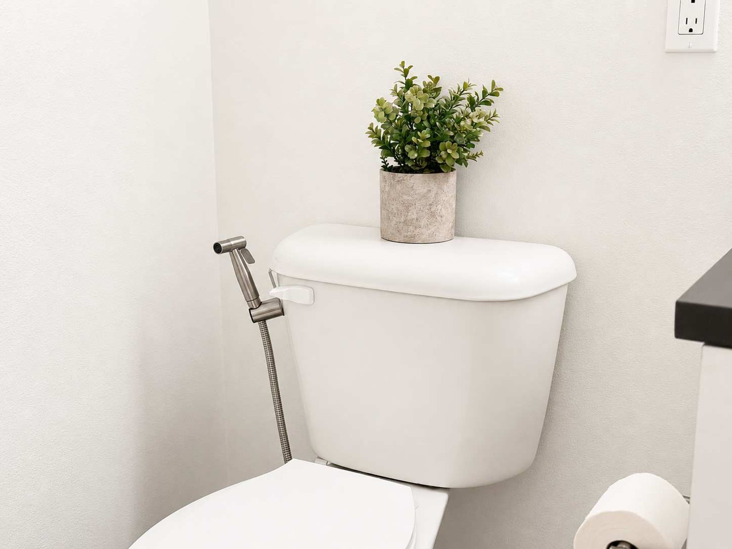 Des toilettes équipées d’une douchette, un pot de fleurs posé sur le réservoir et un rouleau de papier toilette sur le sol.