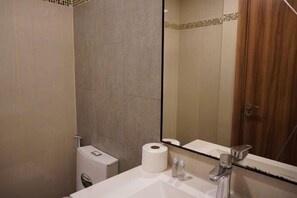 Une salle de bain équipée d’un lavabo, d’un miroir, de toilettes et d’une douche.