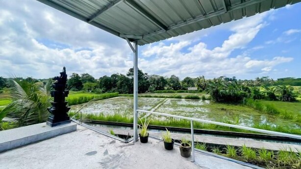 A covered terrace with a view of a rice paddy field, a metal railing, and potted plants. - Winy House (Bali)