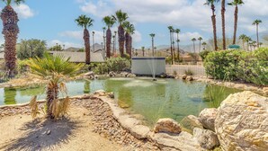 A landscaped garden with a pond, palm trees, and a building with a sign. - Resort-style Palm Springs Townhome w/ Pool Access (Palm Springs)