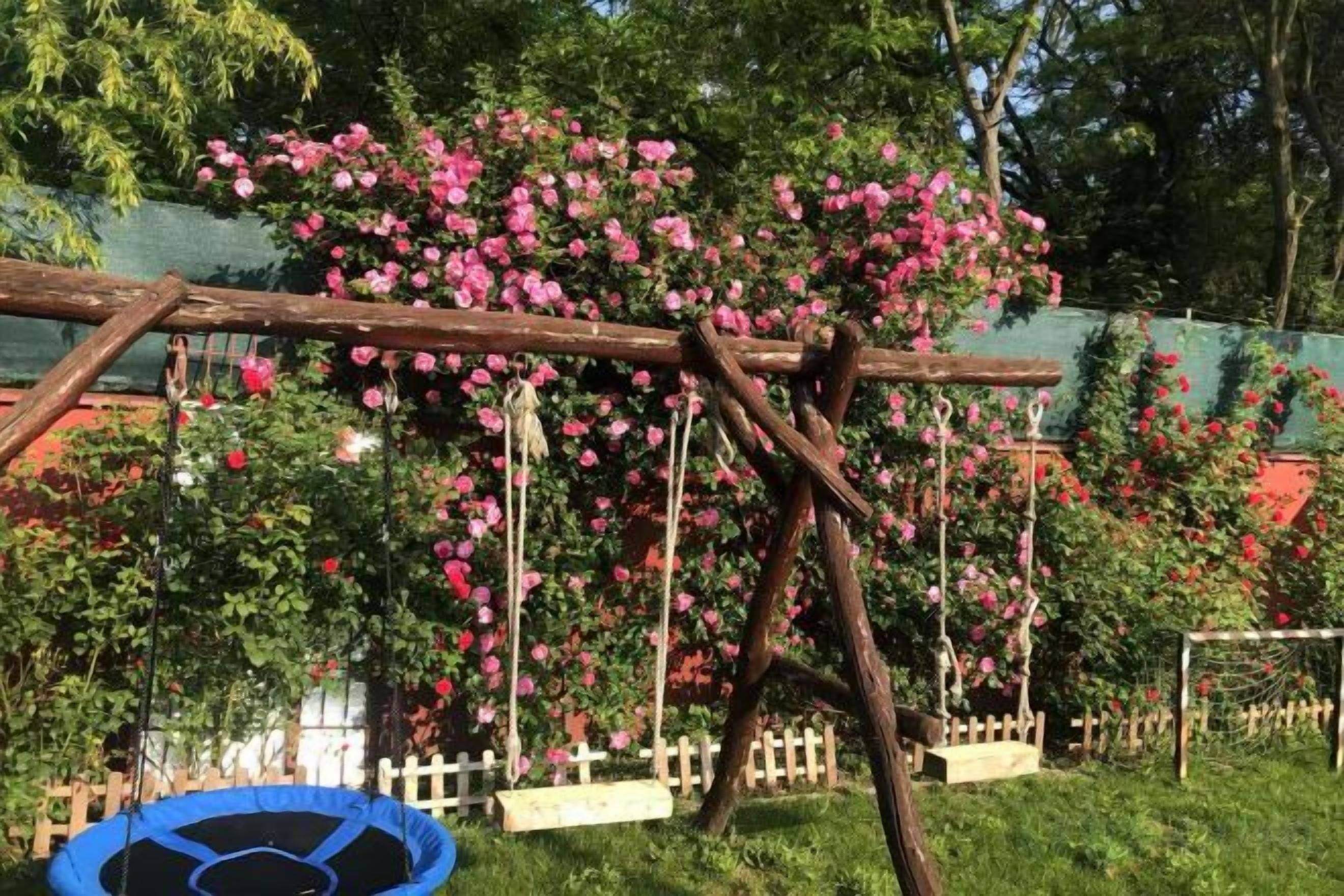 A wooden swing set with a trampoline in a garden with blooming pink flowers.