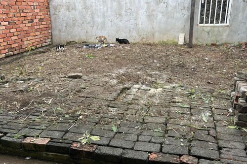 Comfy Transit Tawau-Semporna