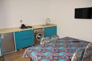 A compact room with a bed, a washing machine, a small sink, and a television.