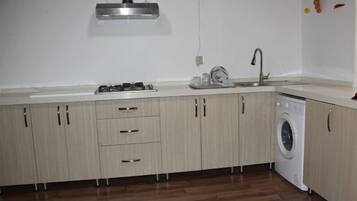 Cozinha equipada com máquina de lavar, pia e armários.