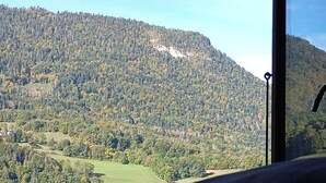 A room with a large window overlooking a forested mountain. - 10 min from Lake Annecy, large, quiet chalet with view (Faverges-Seythenex)