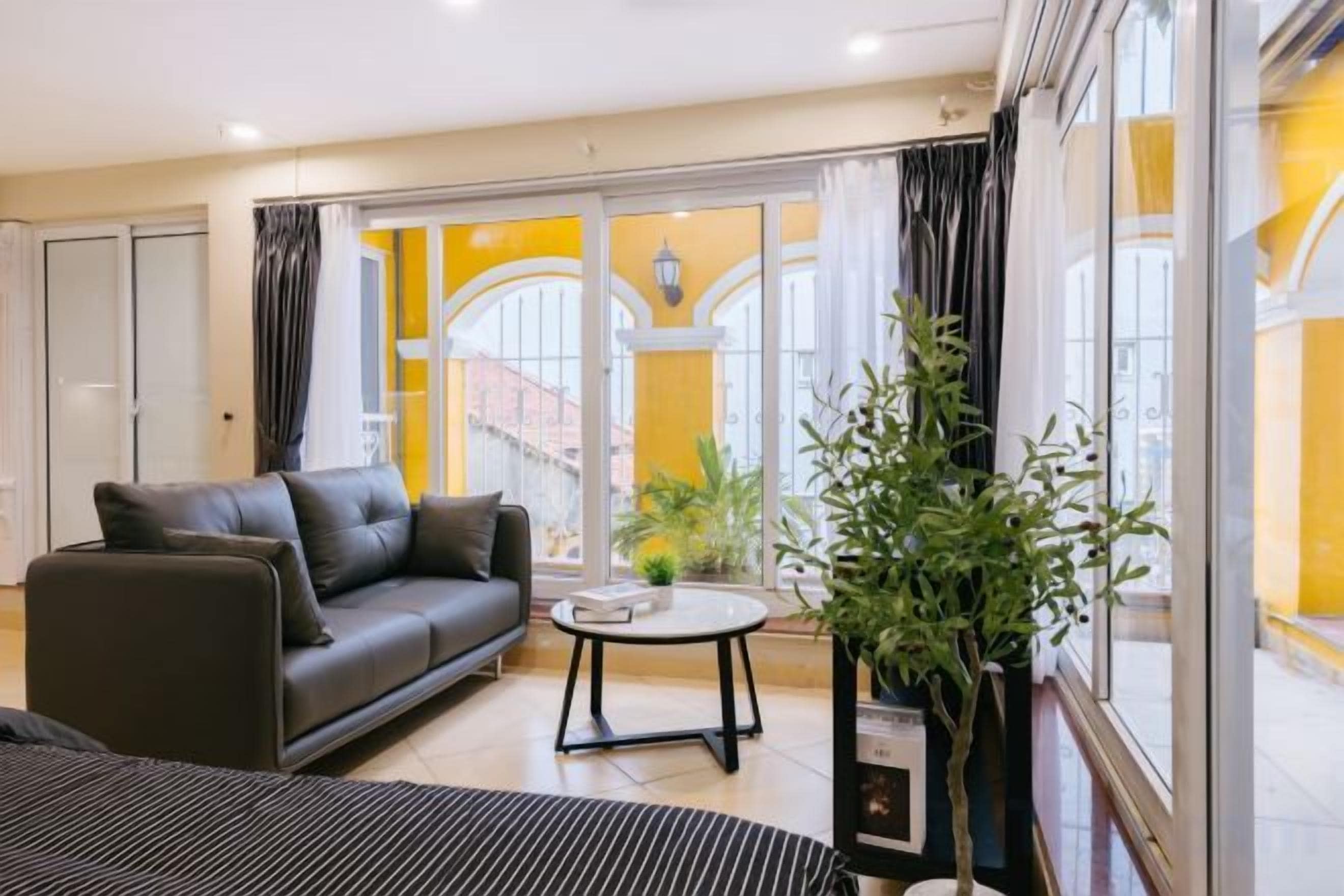 A living room with a sofa, a coffee table, and a potted plant.